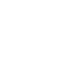 Icon 11